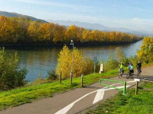 Photo d'un chemin de la ViaRhôna longeant le Rhône, des cyclistes qui s'y baladent. Couleurs d'automne et des nombreux arbres l'entourent