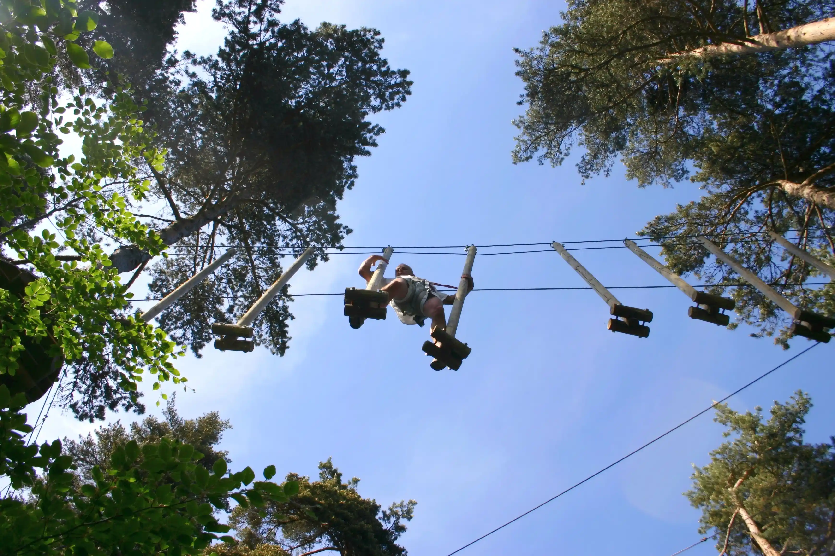 Visiteurs sur le parcours dans les arbres d’Acrobois Pilat