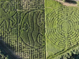 Un labyrinthe de plantes représentant des formes, vue de haut