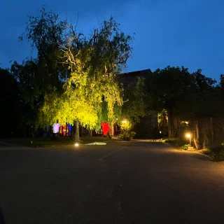 Entrée de la propriété de nuit tout éclairée par des lampes et spot coloré. Le saule pleureur, l'ensemble du jardin ainsi que la façade de la bâtisse sont mis en avant par ces beaux éclairages.