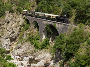 Un train sortant d'un tunnel traversant un pont au-dessus d'une rivière le tout entouré d'une végétation verdoyante