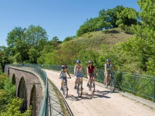 Photo d'un groupe de 4 cyclistes traversant un pont entouré de végétation.